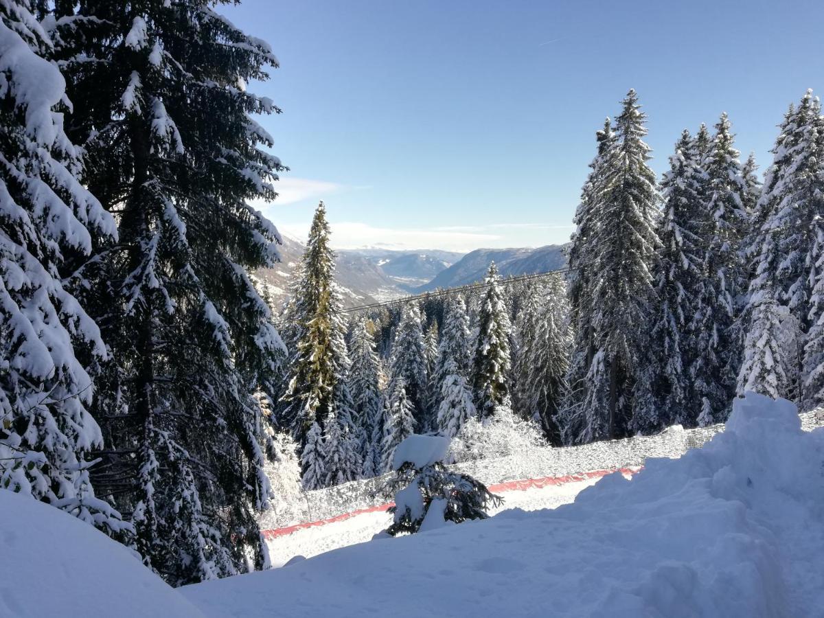 Sole Alto Appartamenti Montana Медзана Экстерьер фото